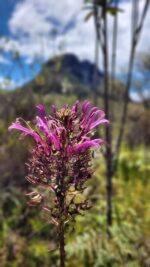 20220818 123758 scaled